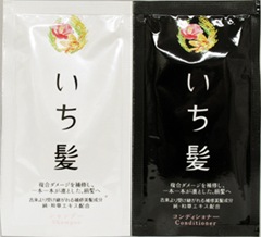 ichikami sample