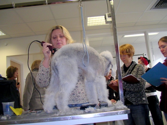 IMGP0475%5B6%5D.jpg