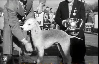 1948_%5B5%5D.jpg