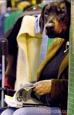 [bacanaus-imagem-do-dia (27)[3].jpg]