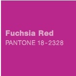 [Pantone Spring Summer Color 18-2328 Fuchsia Red[5].jpg]