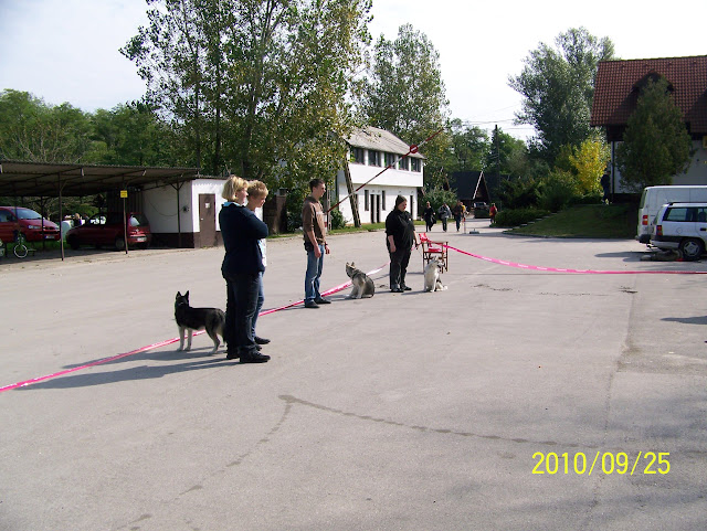 100_1277.JPG