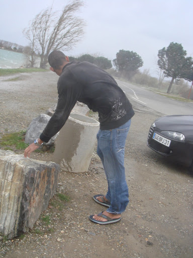 Posted Image