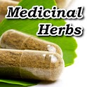 Medicinal Herbs Bible logo