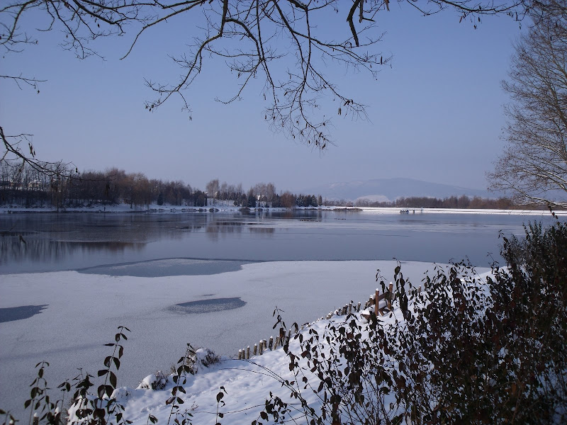 DSCF2883.jpg