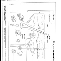DOCUMENT0039.jpg