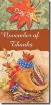 November of Thanks 29 at 'Rebecca Writes'
