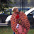 DSC_0916.jpg
