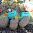 DSCN0164.jpg