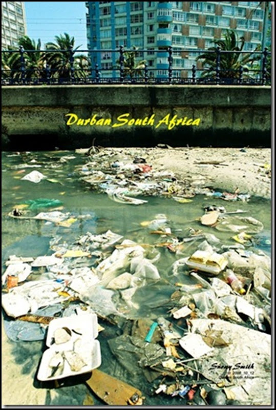 Durban river outlet into Indian Ocean Snowy Smith photographer environmentalist DeathOfDurban_blog