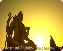 Shiva Statue outside Nageshwar Jyothirlinga Temple