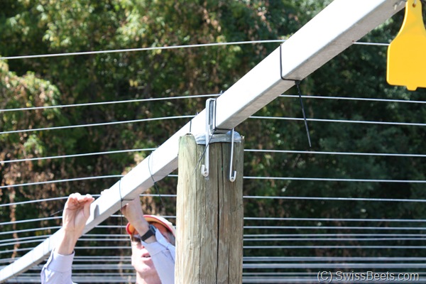 Kiwi Pergola System