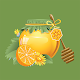 Natural Home Remedies APK