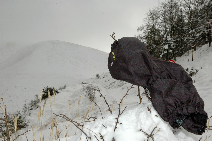 coronato%20snow021_modified.jpg
