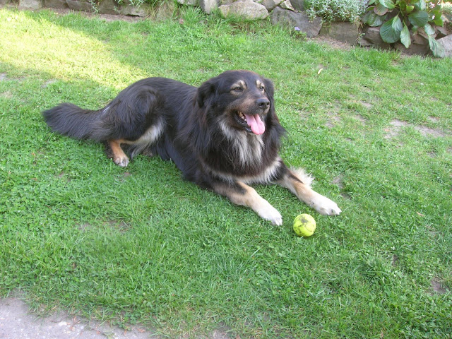 DSCN2641.JPG