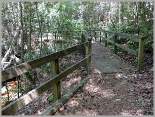 Walking Bridge on the Terrora Trail