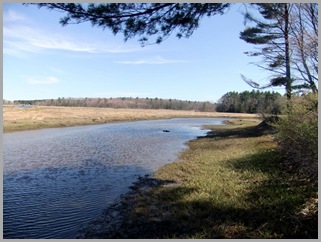 Salt Water Marsh That Surrounds The Campground