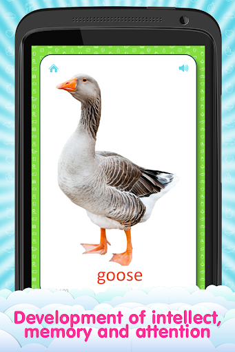 【免費教育App】English Flashcards for kids-APP點子