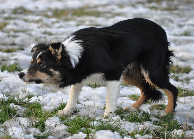 DSC_0162.JPG