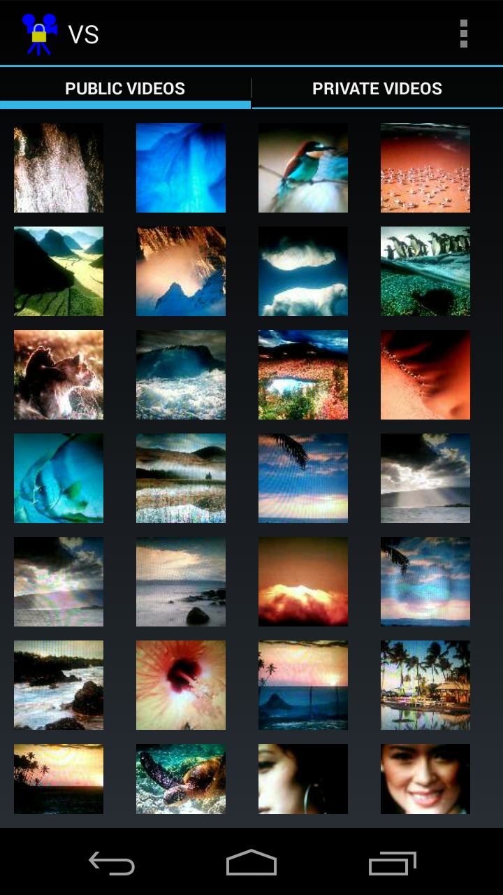 Video Safe License Screen 2