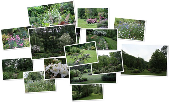 View Jardin 2010_06_09