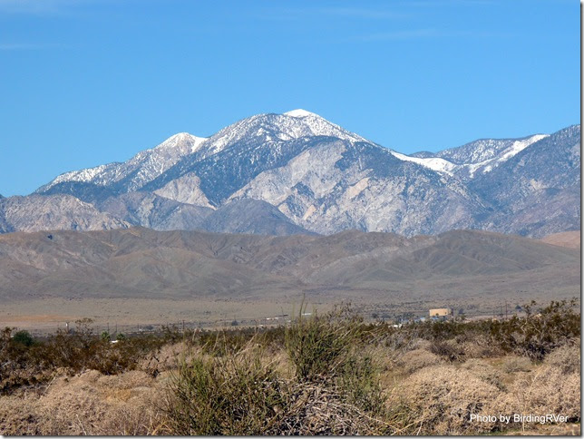 North Palm Springs