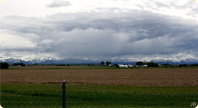 IMG_1347 IMG_1347
