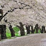 god-wallpapers.blogspot.com (11).jpg