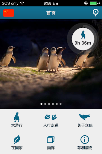 免費下載旅遊APP|企鹅大游行，菲利普岛 app開箱文|APP開箱王