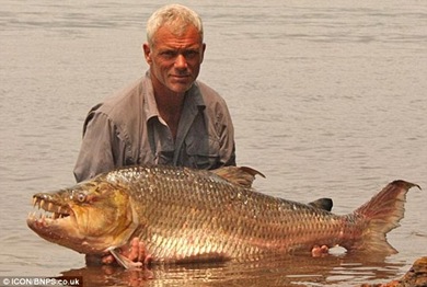 ferocious giant piranha which has been known to eat CROCODILES