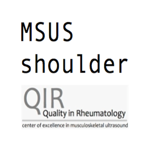 Shoulder Ultrasound logo