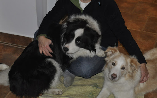 seta20110121002-2.jpg