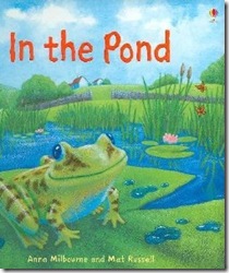 pond_