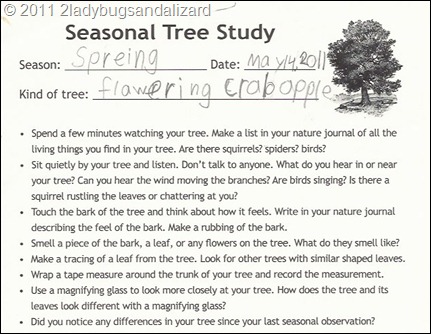 tree study