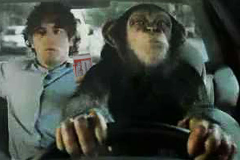 your monkey designated driver.