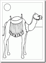 camellos  (9)
