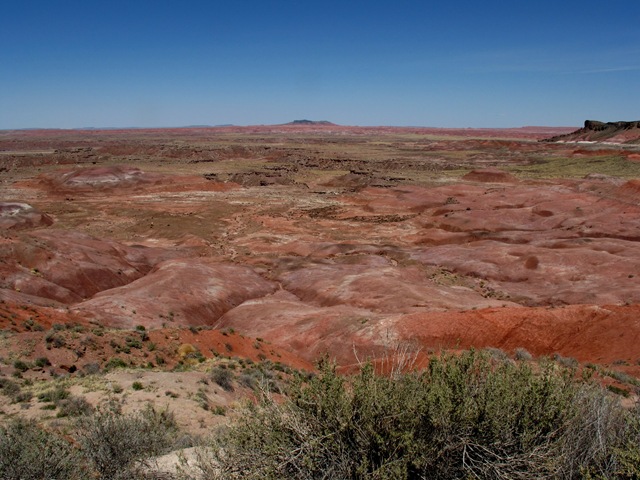 Petrified Forest National Park Painted Desert Lacey Point (2)