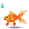 [000204792.gif]