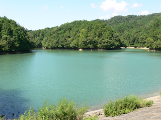 View of the dam lake from the right bank