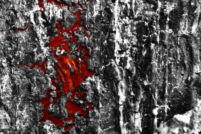 [Bleeding Tree-color on bw_lite[4].jpg]