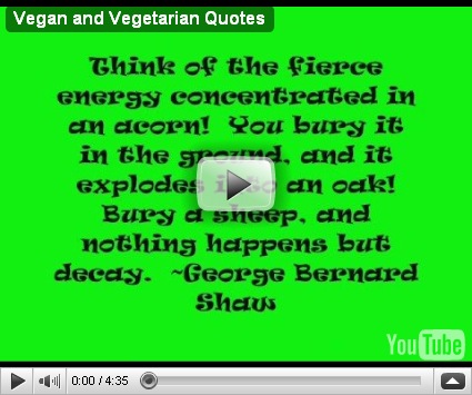 vegetarianism quotes. Vegan and Vegetarian Quotes. 7:57 AM Vegetarian. Posted in Recipes