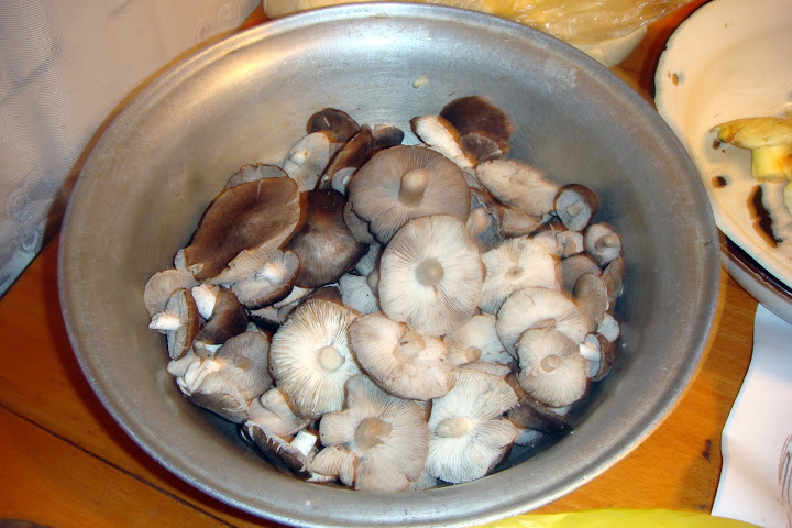 DSC03897.JPG