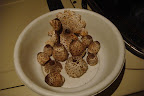 DSC03665.JPG