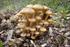 DSC03748.JPG