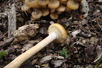 DSC03749.JPG