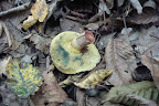 DSC03806.JPG