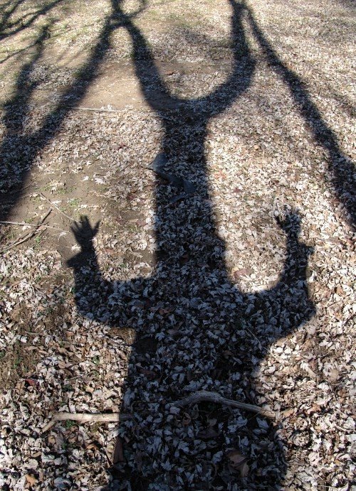 playing-with-shadows (9)