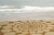 Giant Sand Art by Jim Denevan