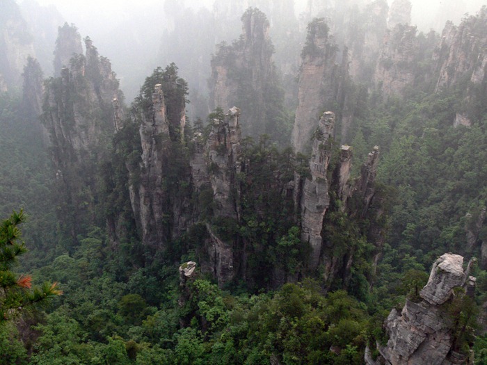 zhangjiajie (17)