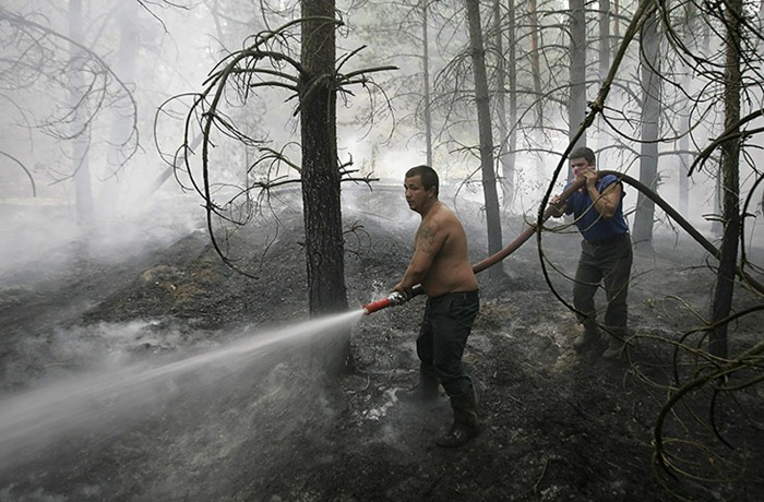 russia-forest-fire (45)